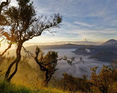 Bromo Private Tour