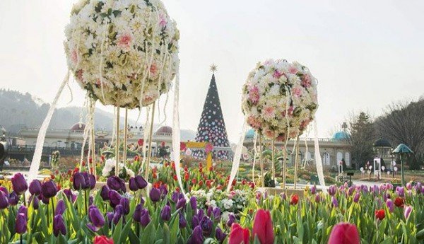 Everland Seoul Day pass